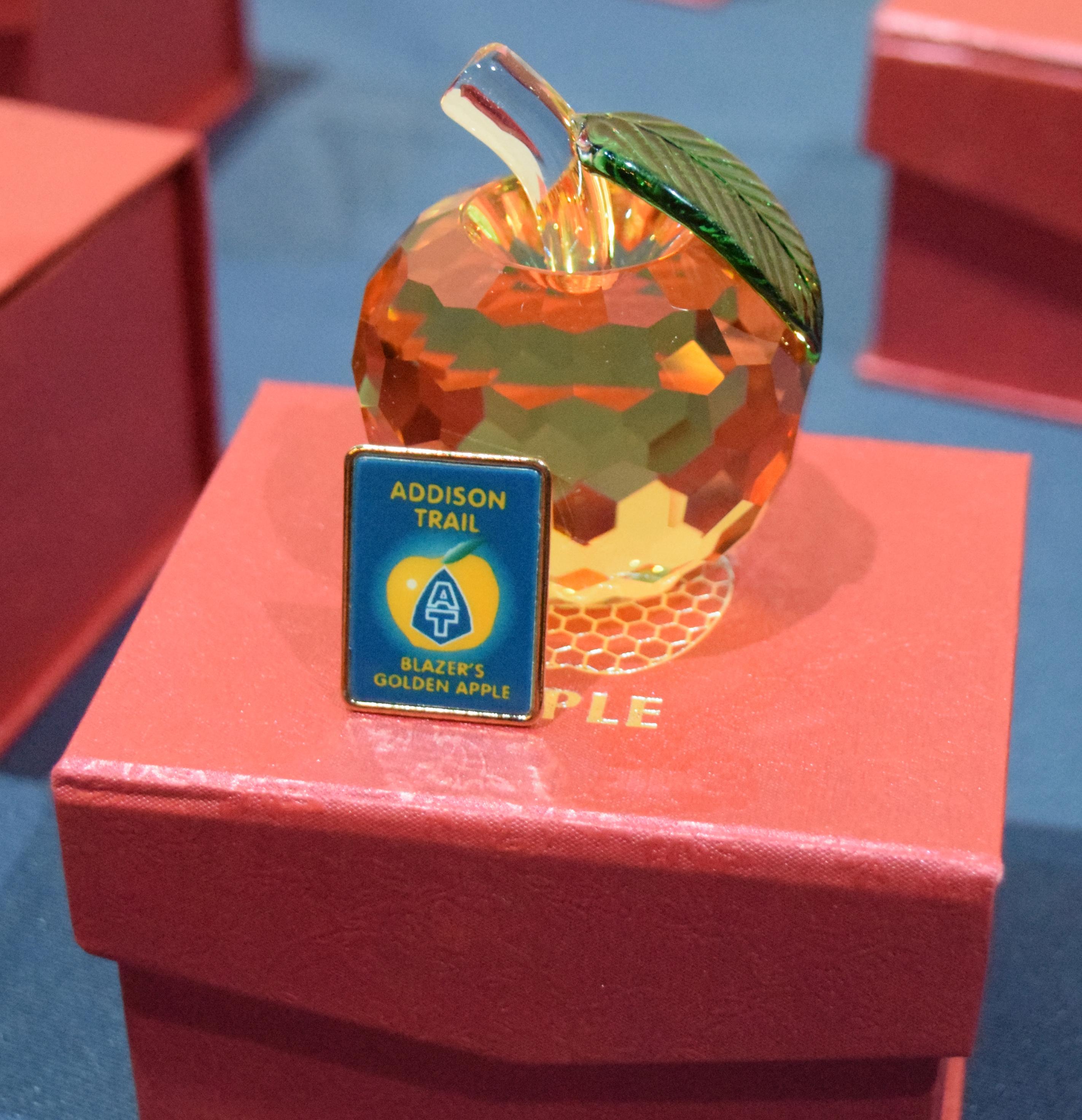 Thirty staff members honored with Addison Trail’s Golden Apple