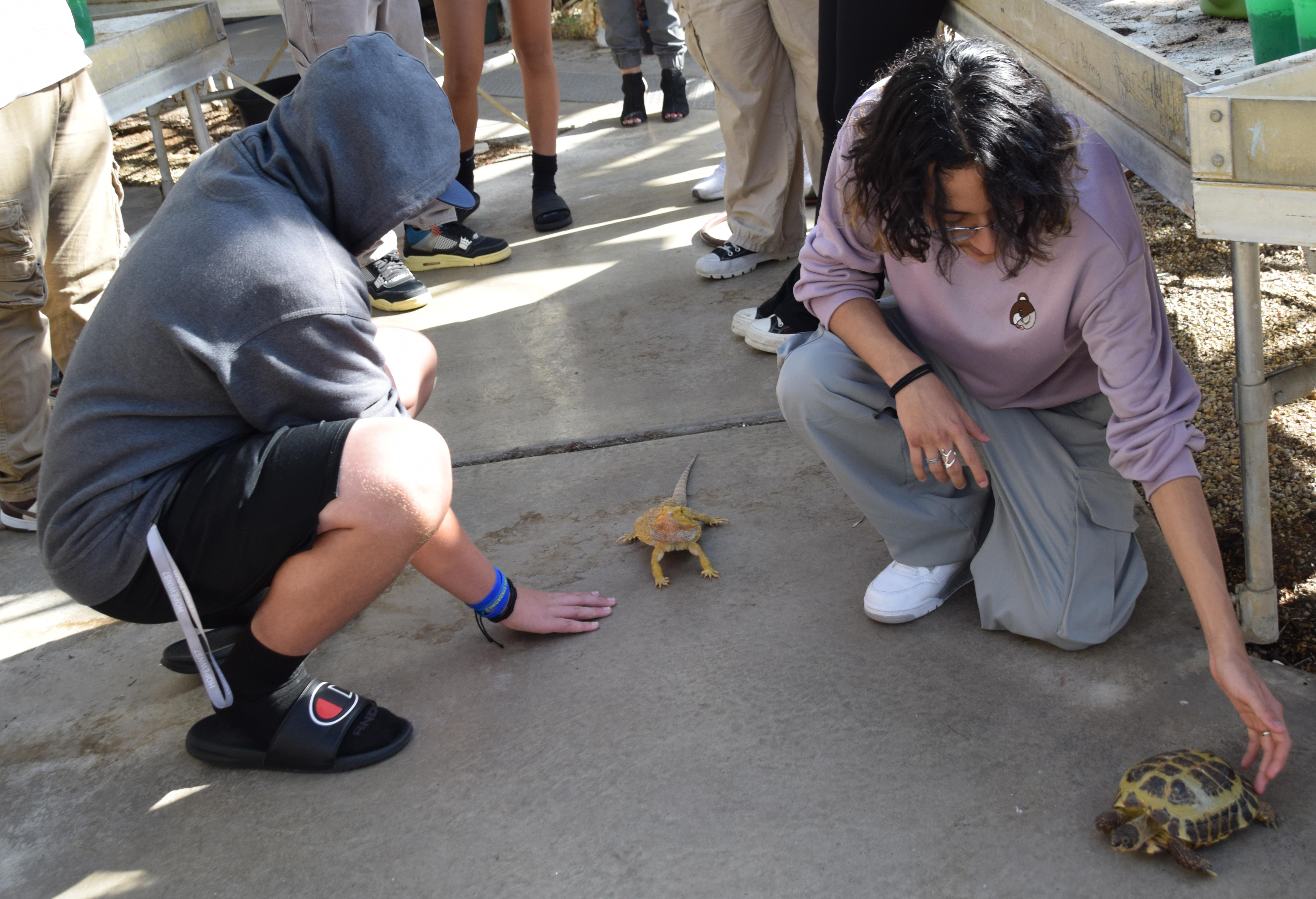 Addison Trail offers new Comparative Zoology course